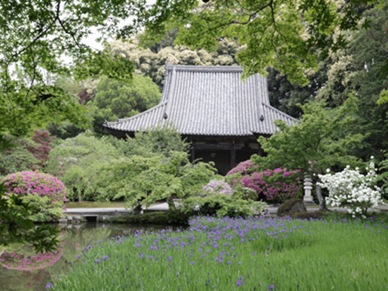 長岳寺境内