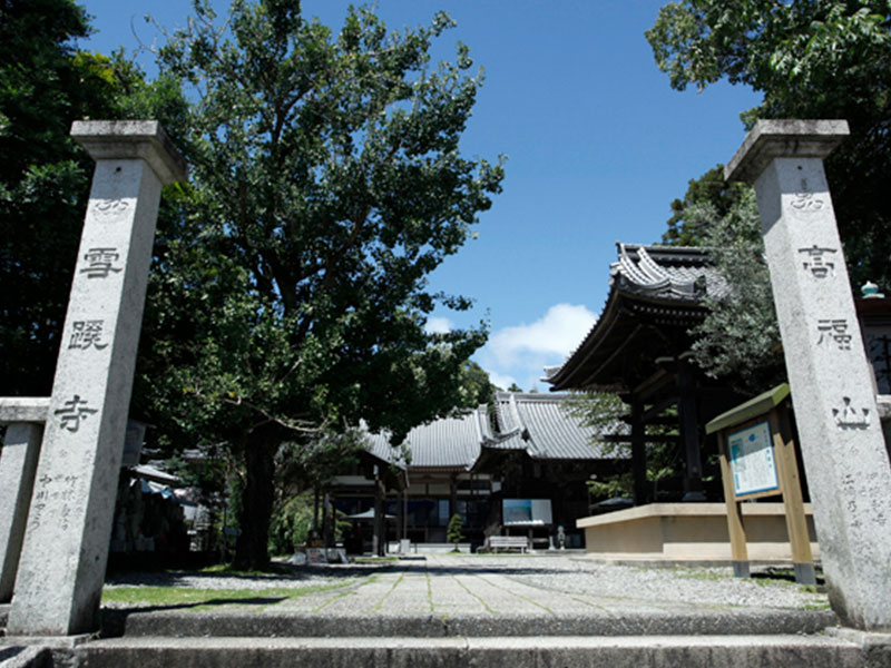 雪蹊寺山門